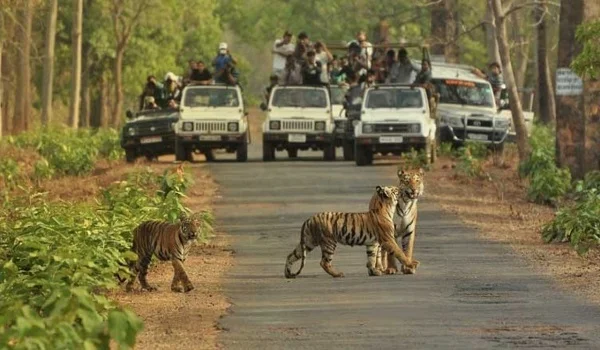 Bannerghatta National Park